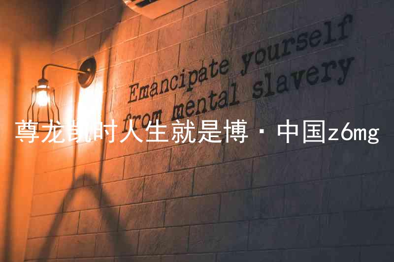 尊龙凯时人生就是博·中国z6mg