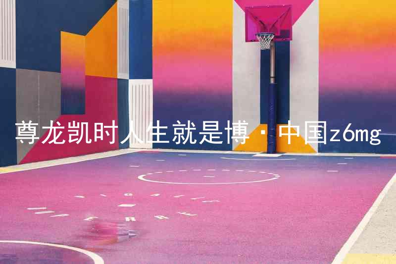 尊龙凯时人生就是博·中国z6mg