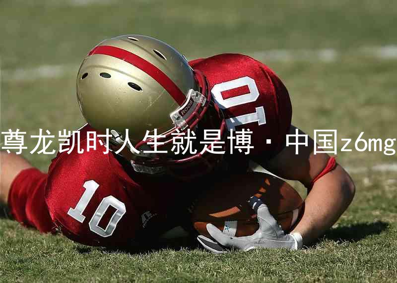 尊龙凯时人生就是博·中国z6mg